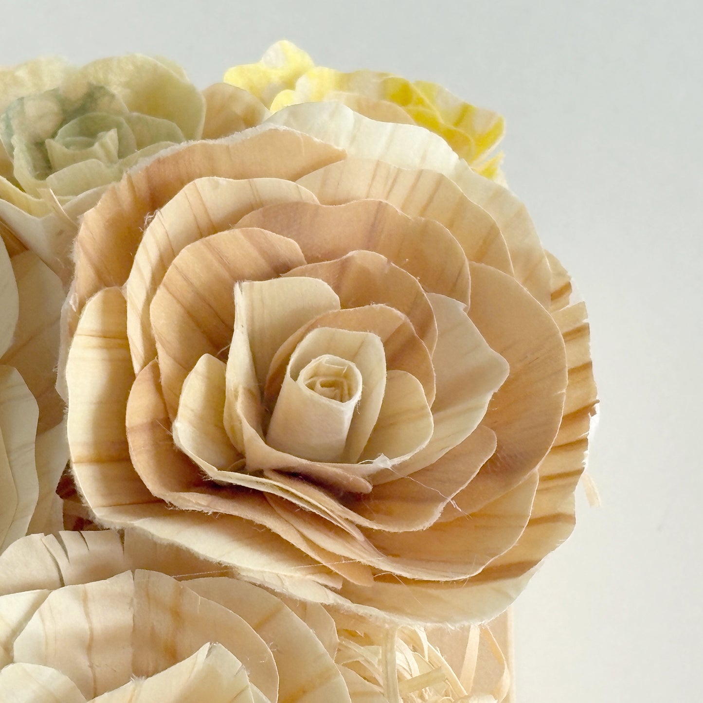 かなばフラワー・フレーム